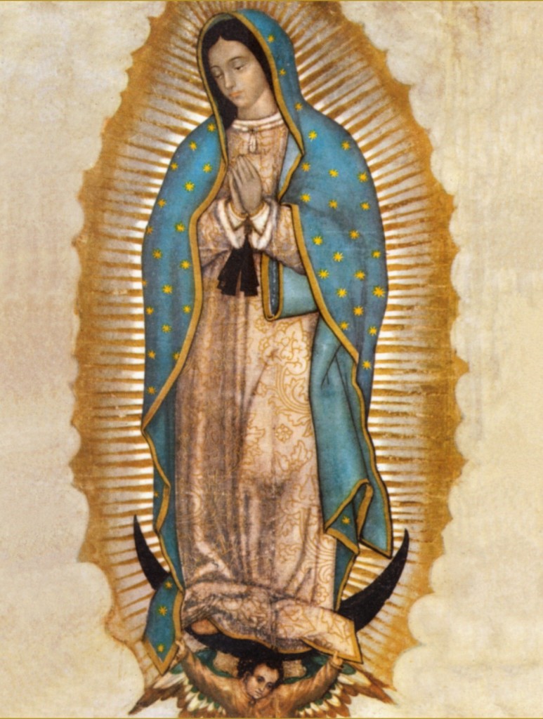<strong><em>Being a Guadalupano</em></strong> /  <strong><em>Ser Guadalupano</em></strong>